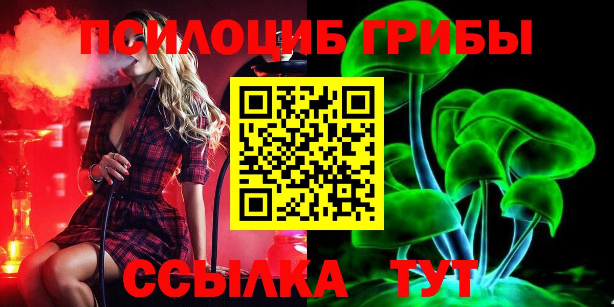 Галлюциногенные грибы GOLDEN TEACHER  Вход с VPN  наркотики  Нальчик  Галлюциногенные грибы Psilocybine cubensis 